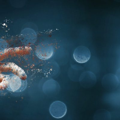 Formation en Intelligence Artificielle